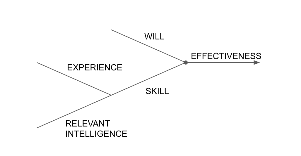 Experience and intelligence